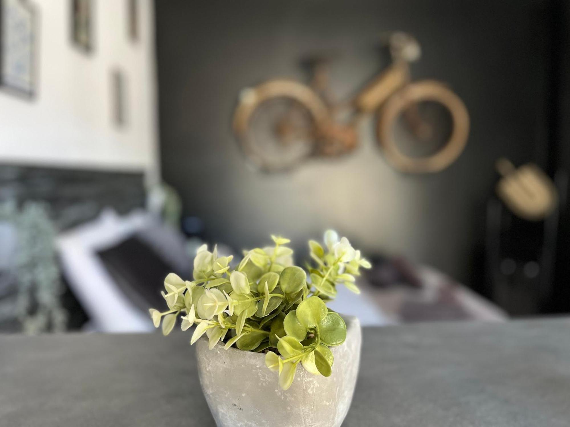 לקון "Le Maloya" Chalets Independants -Chambre Balneo - Relais Motards מראה חיצוני תמונה